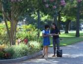 The University of Houston