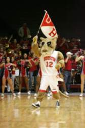 The University of Houston