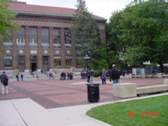 The University of Michigan - Ann Arbor