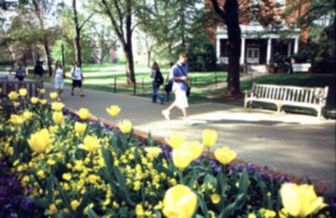 The University of Mary Washington