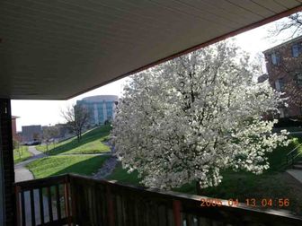 The University of Baltimore