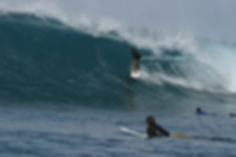 The University of California - Santa Cruz