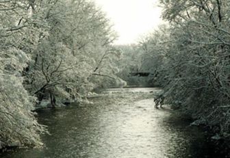 Michigan State University