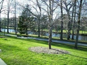 Michigan State University